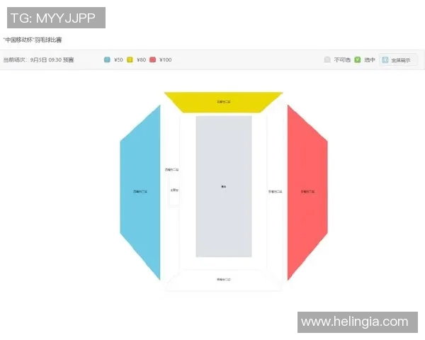 羽毛球赛事门票销售情况分析及未来市场发展趋势探讨